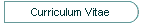 Curriculum Vitae