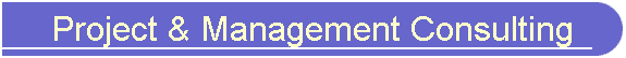 Project & Management Consulting