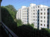 TZe